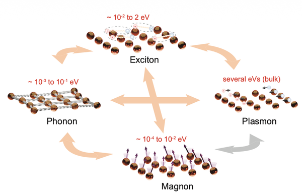 Antiferromagnetism-altered plasmon dynamics