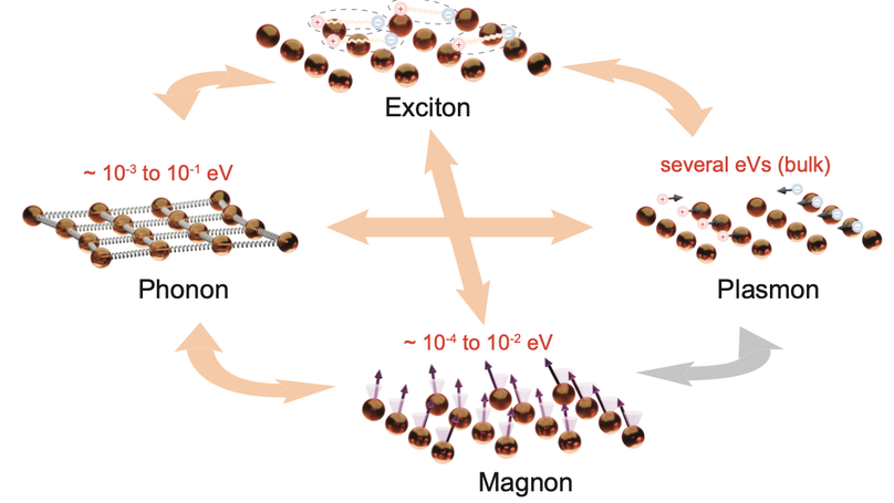 Antiferromagnetism-altered plasmon dynamics