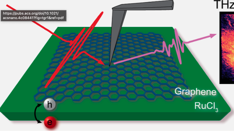 Charge Transfer Plasmonics in Bespoke Graphene/a-RuCl3 Cavities