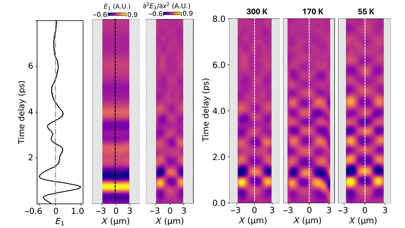 Electronic interactions in Dirac fluids visualized by nano-terahertz spacetime interference of electron-photon quasiparticles