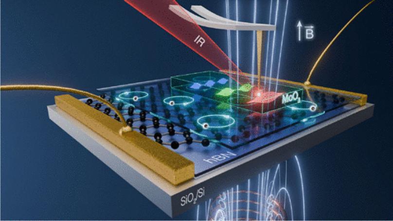 Magnetically Tunable Polariton Cavities in van der Waals Heterostructures