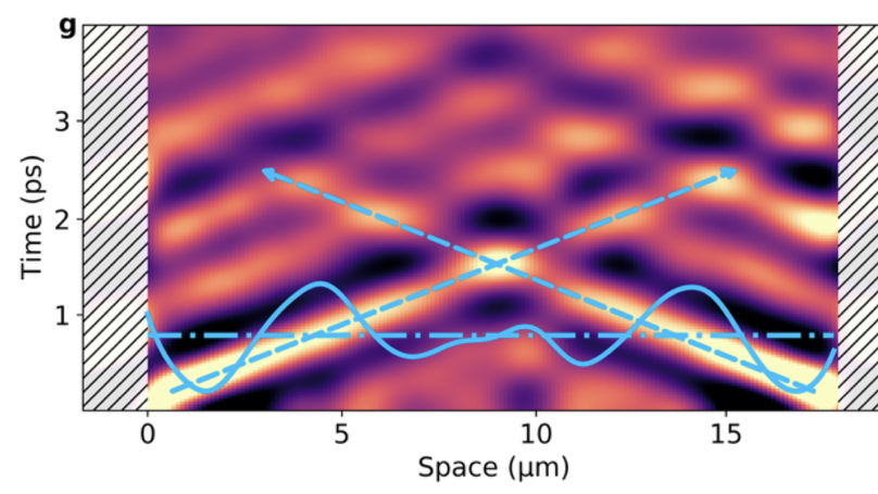 Plasmon dynamics in graphene