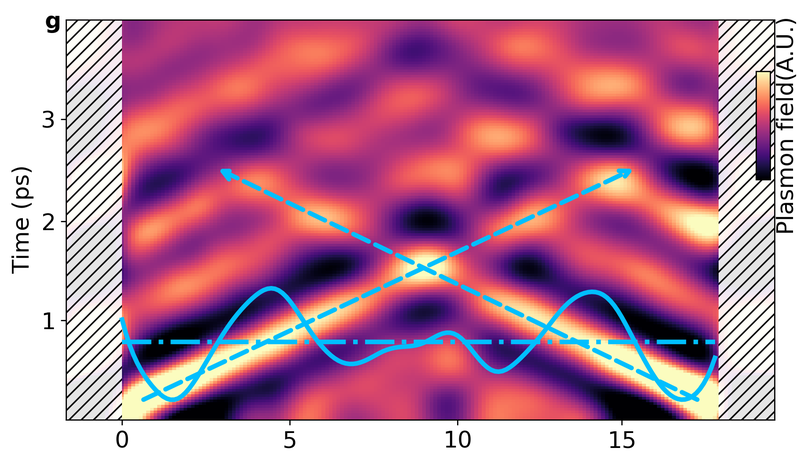 Plasmon dynamics in graphene