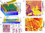 Plasmonic polarization sensing of electrostatic superlattice potentials