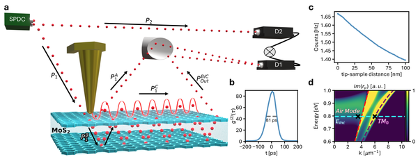 Quantum Light Nano-Imaging