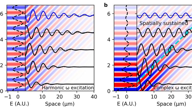 Space-time duality in polariton dynamics